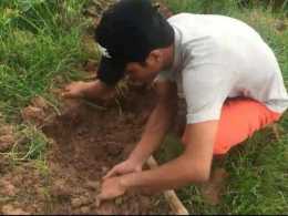 柬埔寨男子用一把鋤頭，挖了個坑，結果讓人驚呆了！你還敢這麼做？