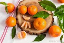 柑橘“披金裝”？五種方式徹底防治莬絲子，防控不再難