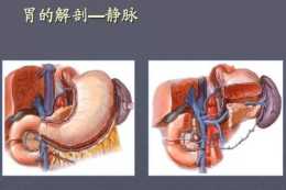胃鏡單解讀：淺表性胃炎，胃黏膜的七大特徵
