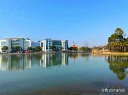 上海一人工湖走紅，地鐵直達，適合遛娃露營賞秋還能免費停車