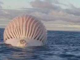 男子發現海面掉落巨型熱氣球，上前細看，嚇得兩腿發軟！