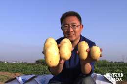 新農業100人 | 劉傑：從“沙漠”中挖出一顆黃金薯