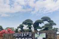 【美景賞析】中國花卉苗木產業智慧博覽園，一個春暖花開如詩的季節