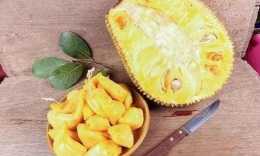 菠蘿蜜的功效與作用、禁忌和食用方法 菠蘿蜜的營養價值 菠蘿蜜怎麼吃才好 菠蘿蜜不能和什麼一起吃