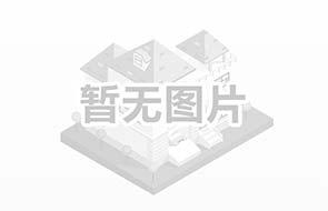 2022天津車展：全新遠航H9 理想L9的對手