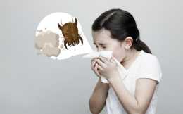 過敏性鼻炎會出現哪些典型症狀?應該如何治療過敏性鼻炎?