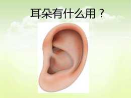愛耳健康，如何呵護你的耳朵？